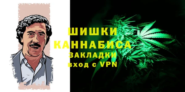 крисы Баксан