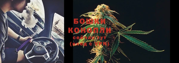 крисы Баксан