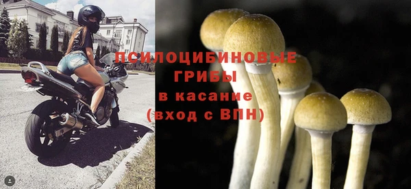 крисы Баксан
