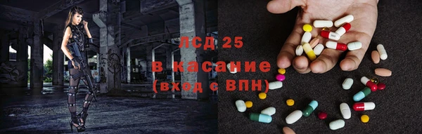 крисы Баксан