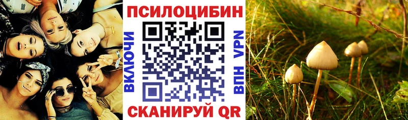 мега вход  Рудня  Псилоцибиновые грибы MAGIC MUSHROOMS  купить  цена 